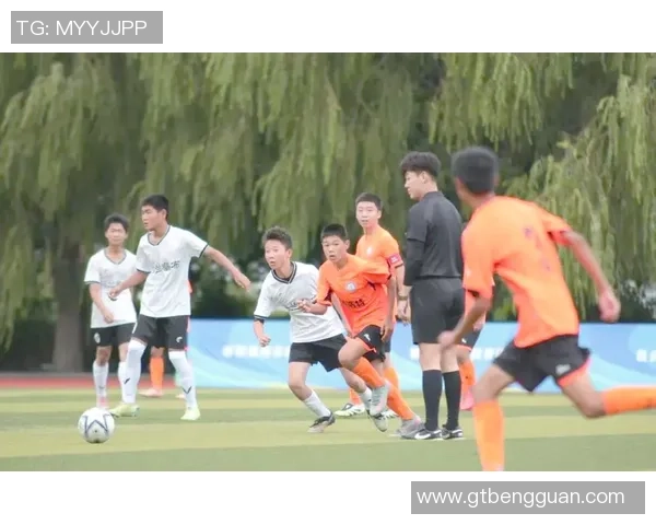 足球俱乐部志：探索足球文化与团队精神的传承与发展之路